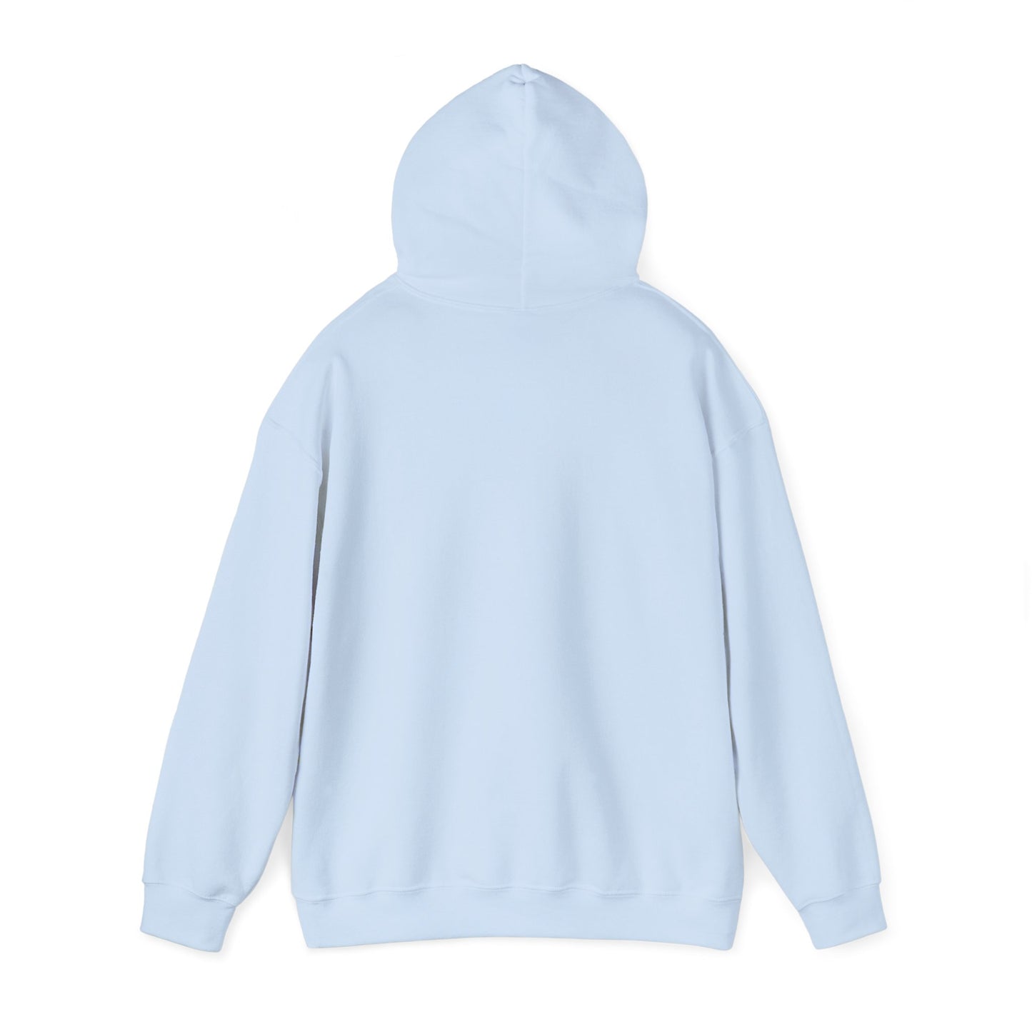 BOA Club Unisex Heavy Blend™ Hoodie